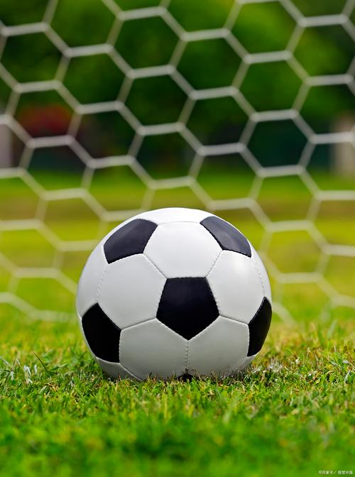 Eleven provinciallevel regions buck national trend with population growth